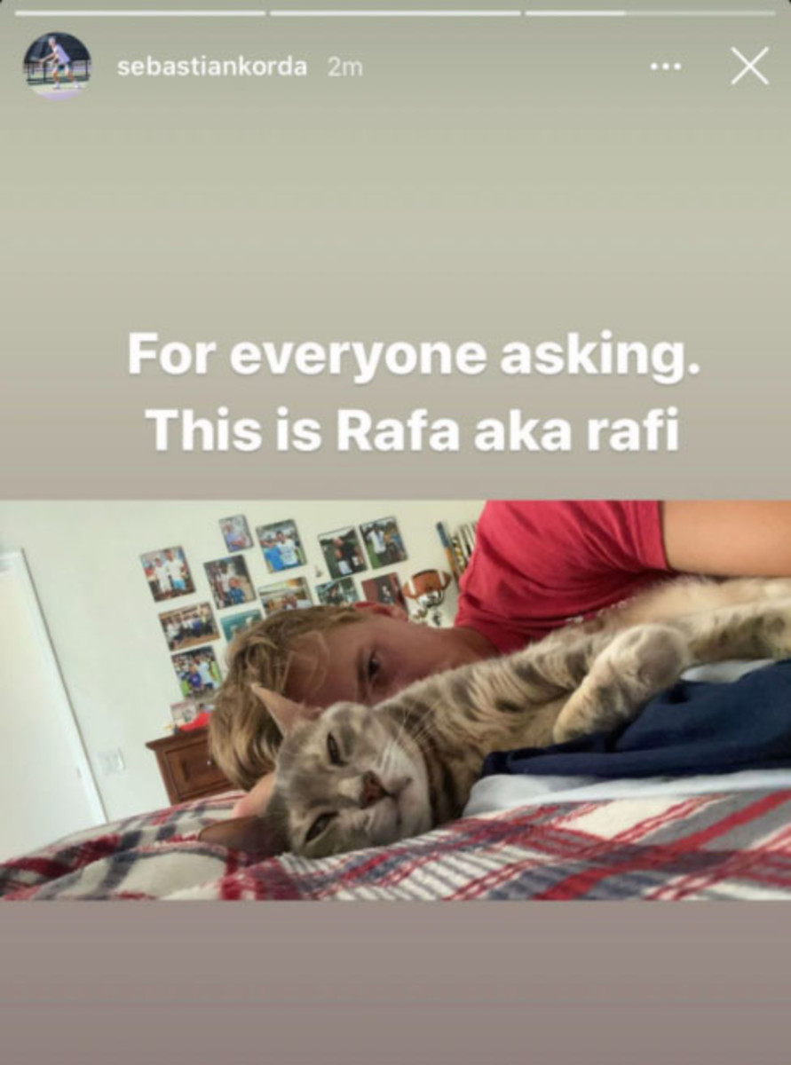 Korda Rafael Nadal cat