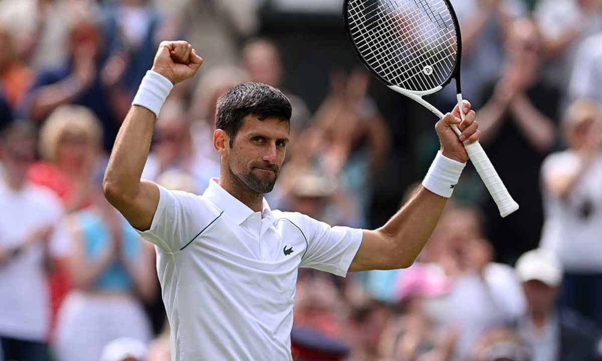 Novak Djokovic described as perfect at Wimbledon