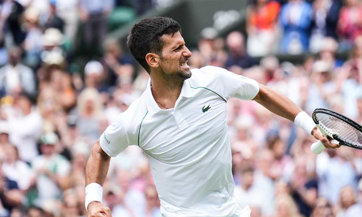 Novak Djokovic Jannik Sinner celebration Wimbledon